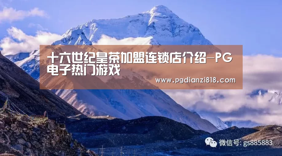 十六世纪皇茶加盟连锁店介绍-PG电子热门